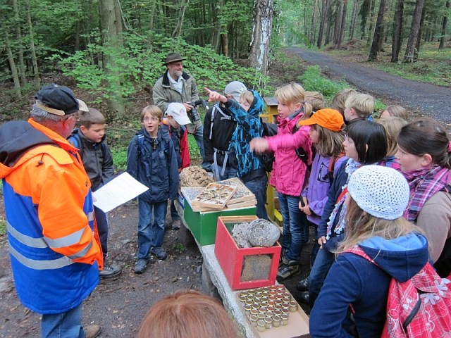 Waldjugendspiele2012_1