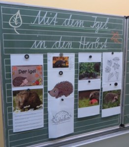 1_Igelprojekt_2015_Kl. 2 _11